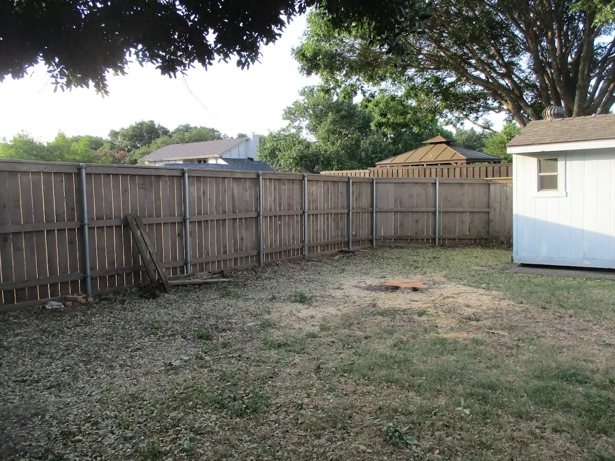 Cleared yard after professional tree removal in Shepherdstown